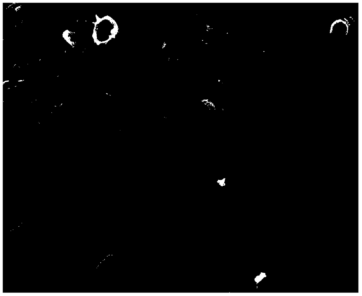 Preparation method and application of antibacterial bioactive ceramic film on titanium or titanium alloy surface with lattice structure porous