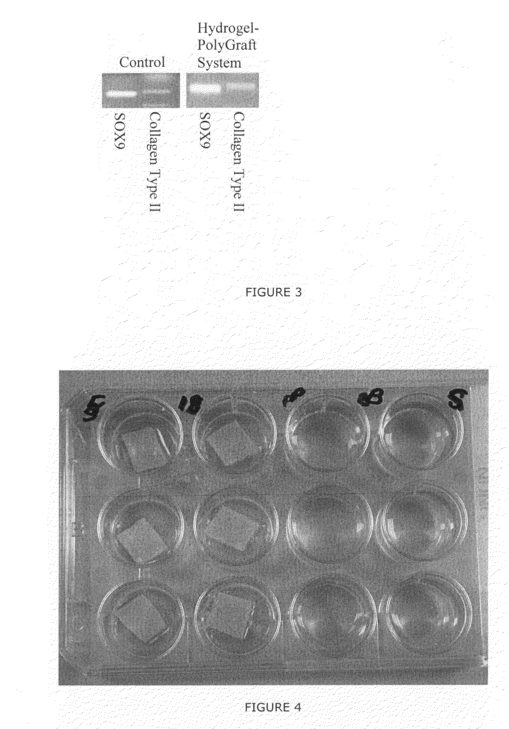 Method for Cell Implantation