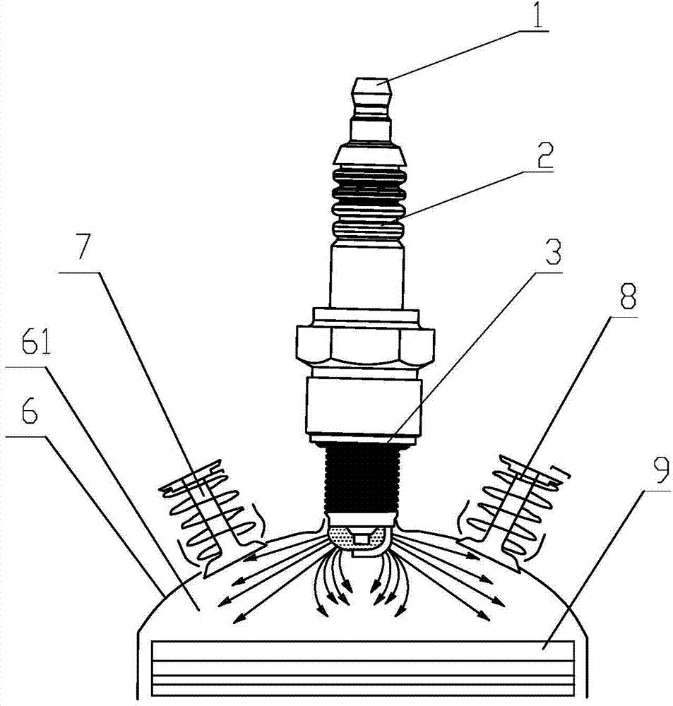 Sparking plug of gasoline engine