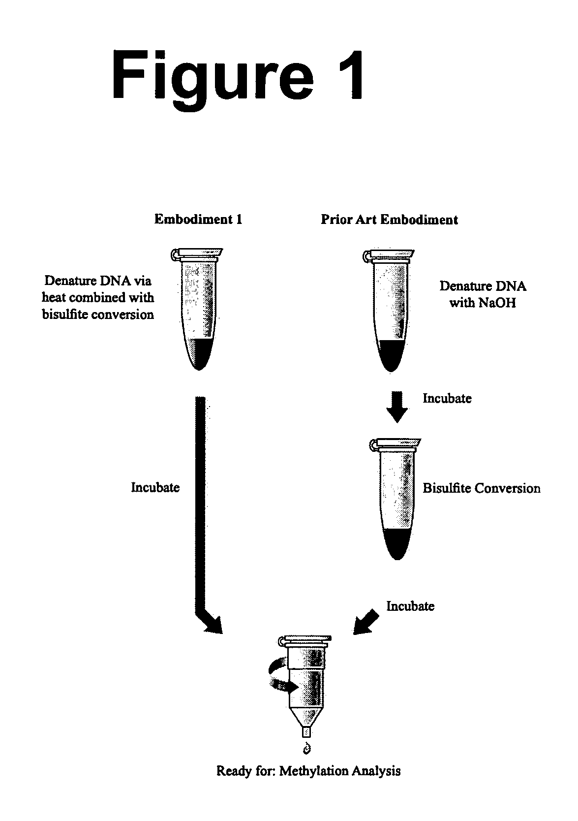 Methods for detection of methylated DNA