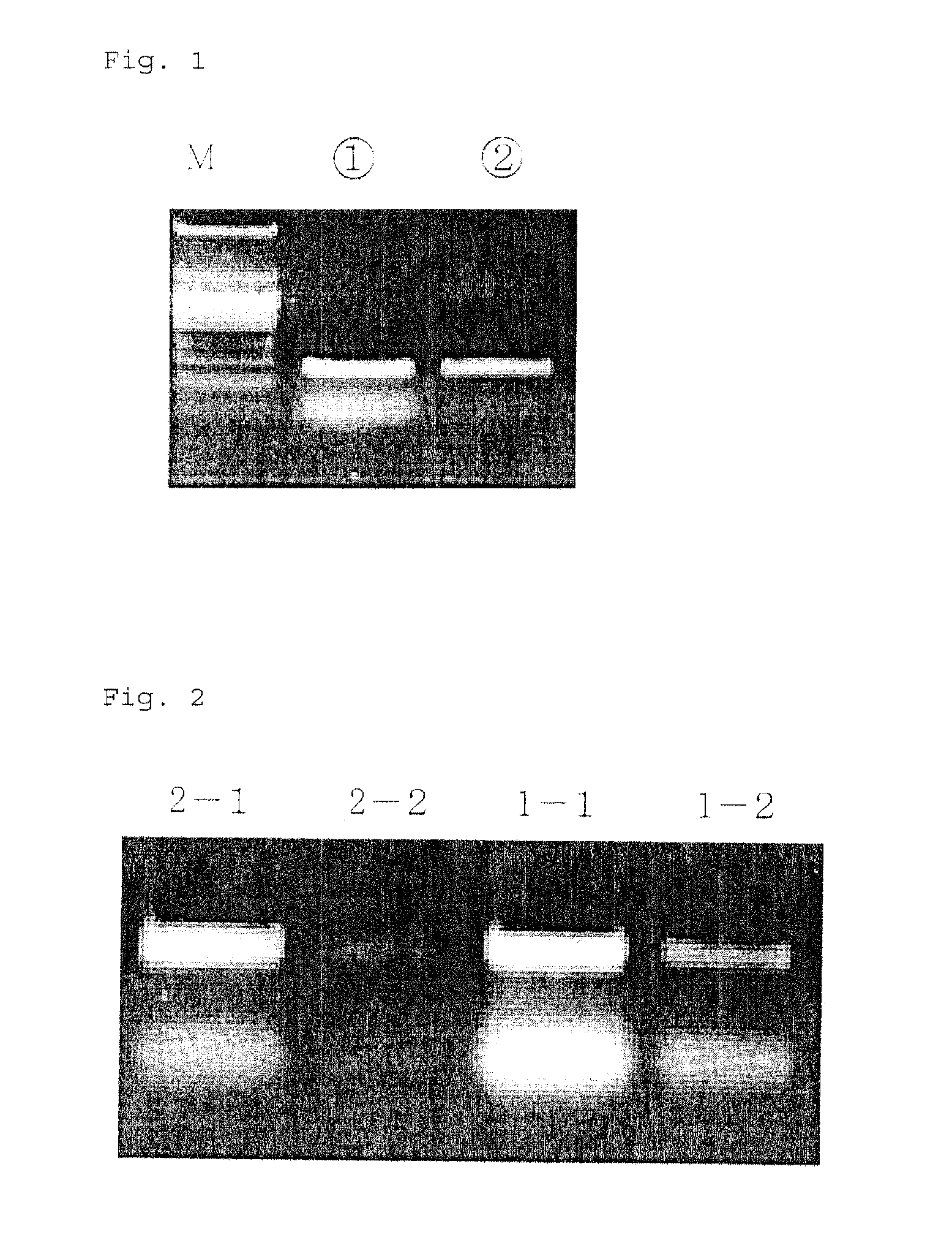 Mechanism of separating and purifying DNA and the like