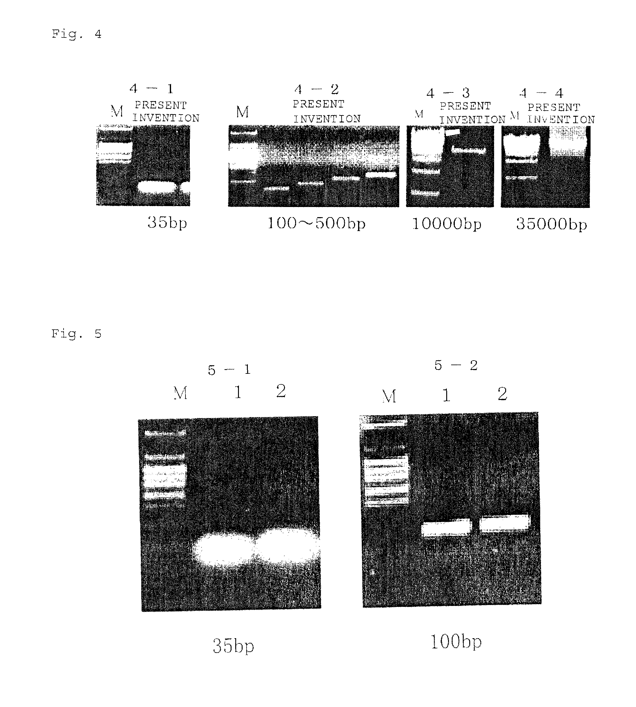 Mechanism of separating and purifying DNA and the like