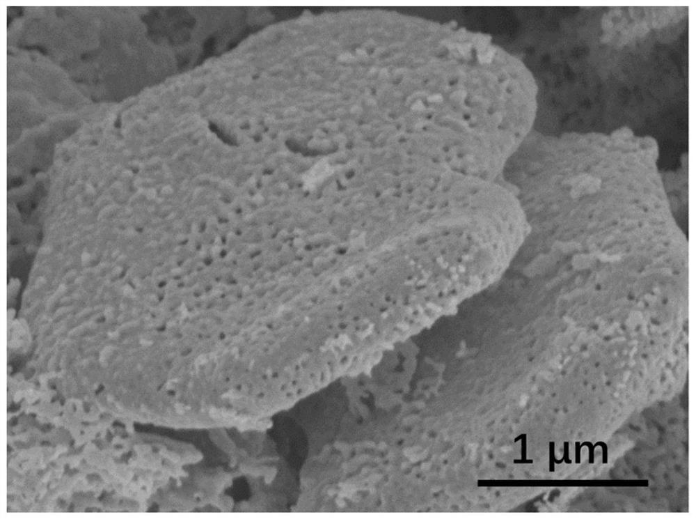 A kind of nanoporous metal powder and preparation method thereof
