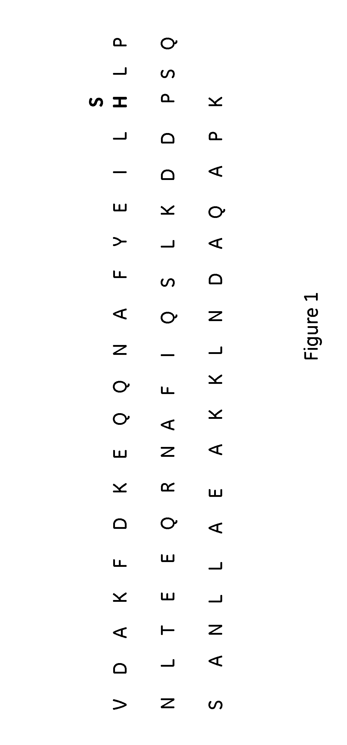 Affinity chromatography matrix