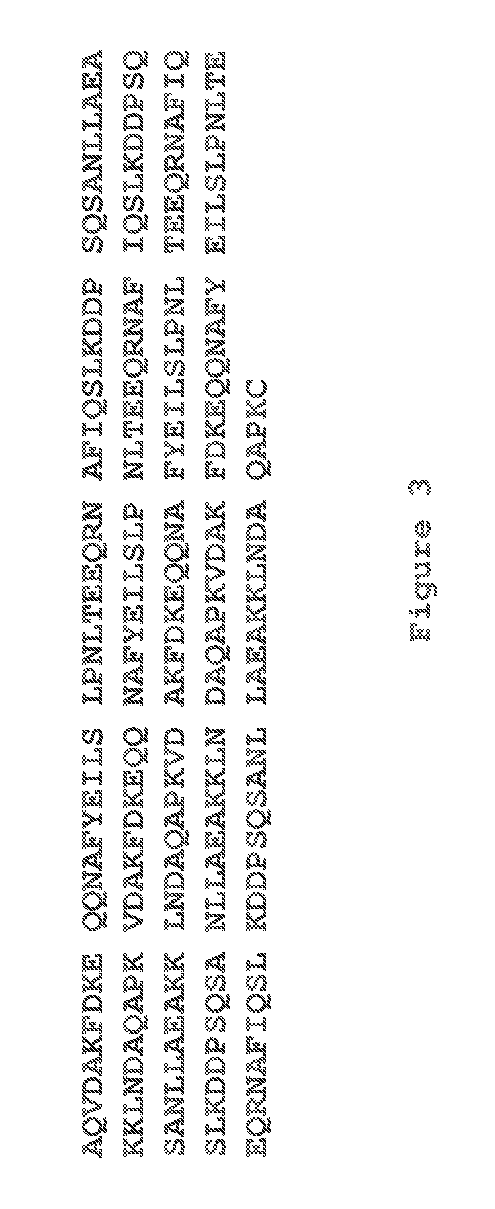 Affinity chromatography matrix