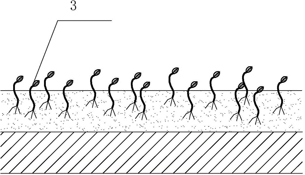 An anti-aging nutrient substrate composition and coating for plant growth