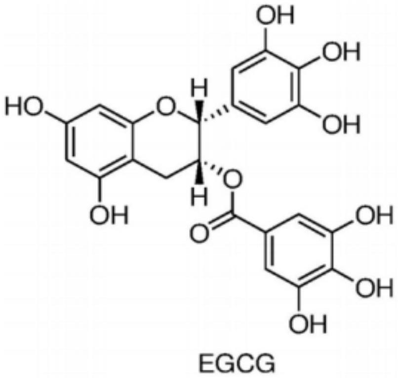 Plant source bacteriostatic essential oil for electronic atomization rod and preparation method of plant source bacteriostatic essential oil