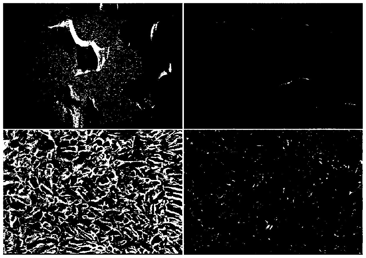 Magnetic nanoparticle bone repair scaffold and preparation method thereof