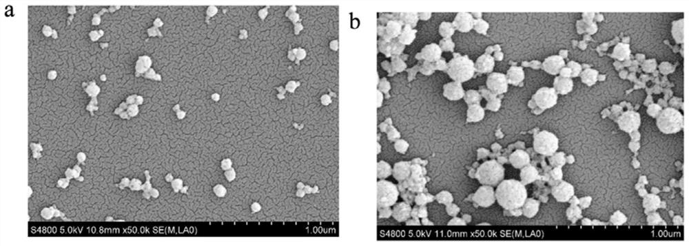 Nano-medicine based on polyphenol complex and preparation method thereof