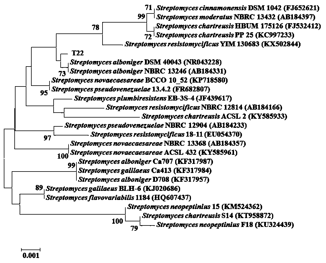 Preparation and application of a strain of Streptomyces alboniger for disease prevention and growth promotion and its metabolites