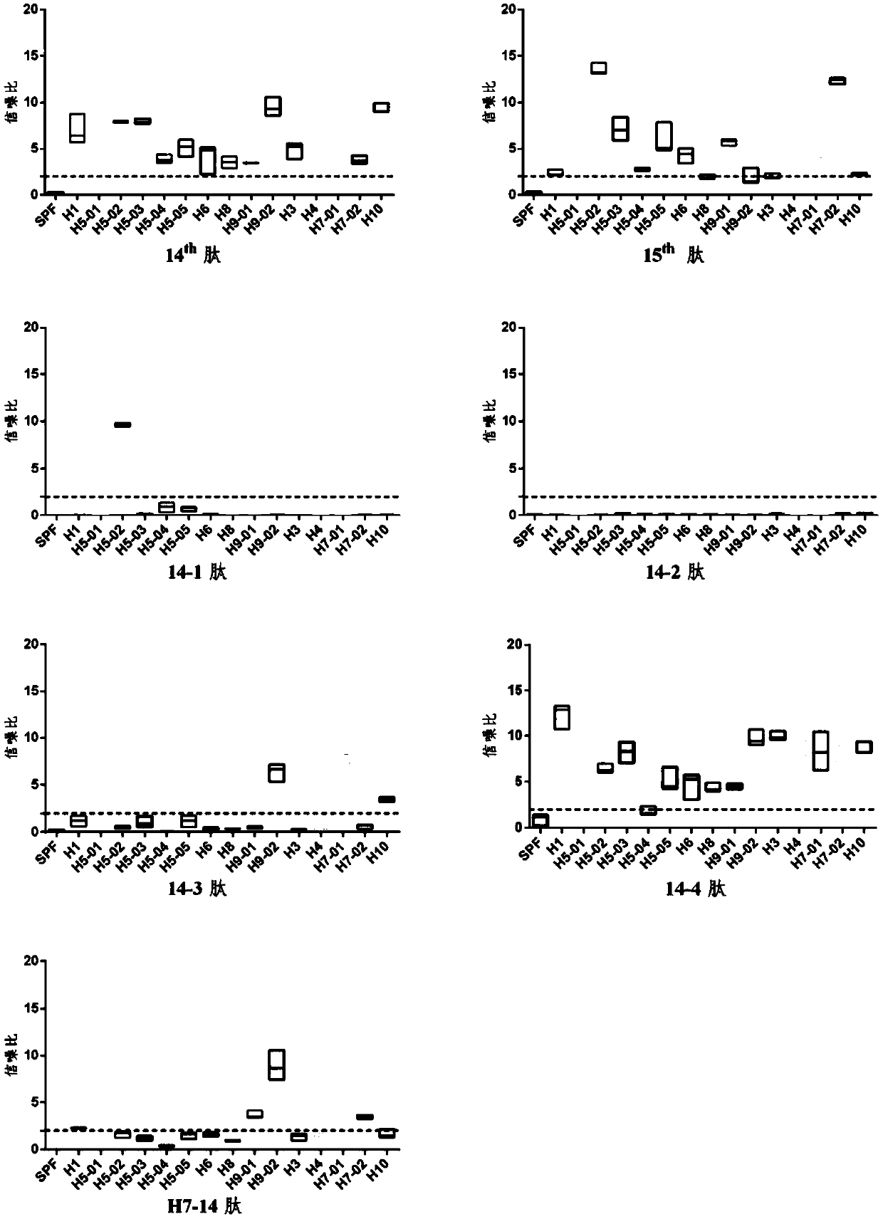 Common epitope, antibody, identification method and application of multiple subtype influenza virus HA2 proteins
