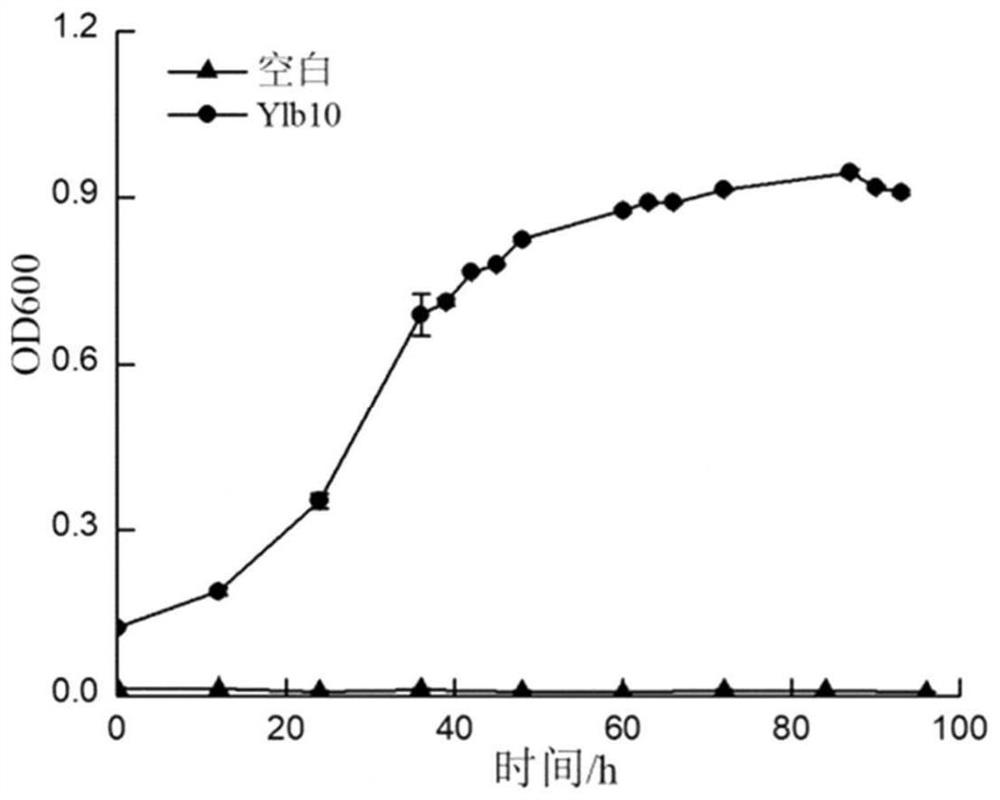 Reduced strain Ylb10 and application thereof in reducing Cr (VI)