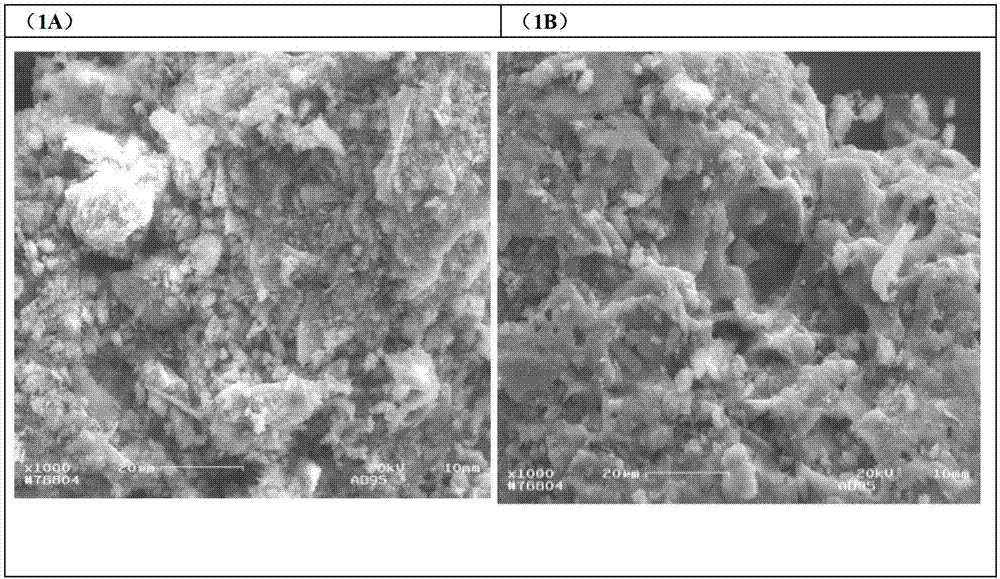 Filter core material of household filter and preparation method thereof