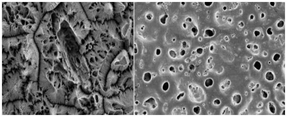 Preparation method and application of titanium alloy surface iodine-loaded antibacterial coating