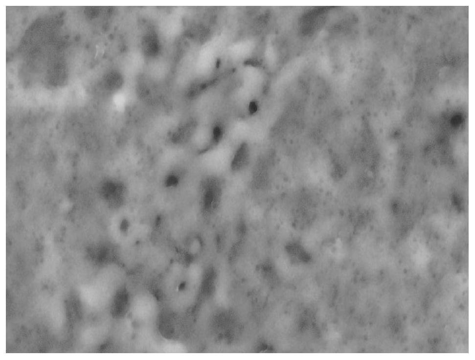 Preparation method and application of titanium alloy surface iodine-loaded antibacterial coating