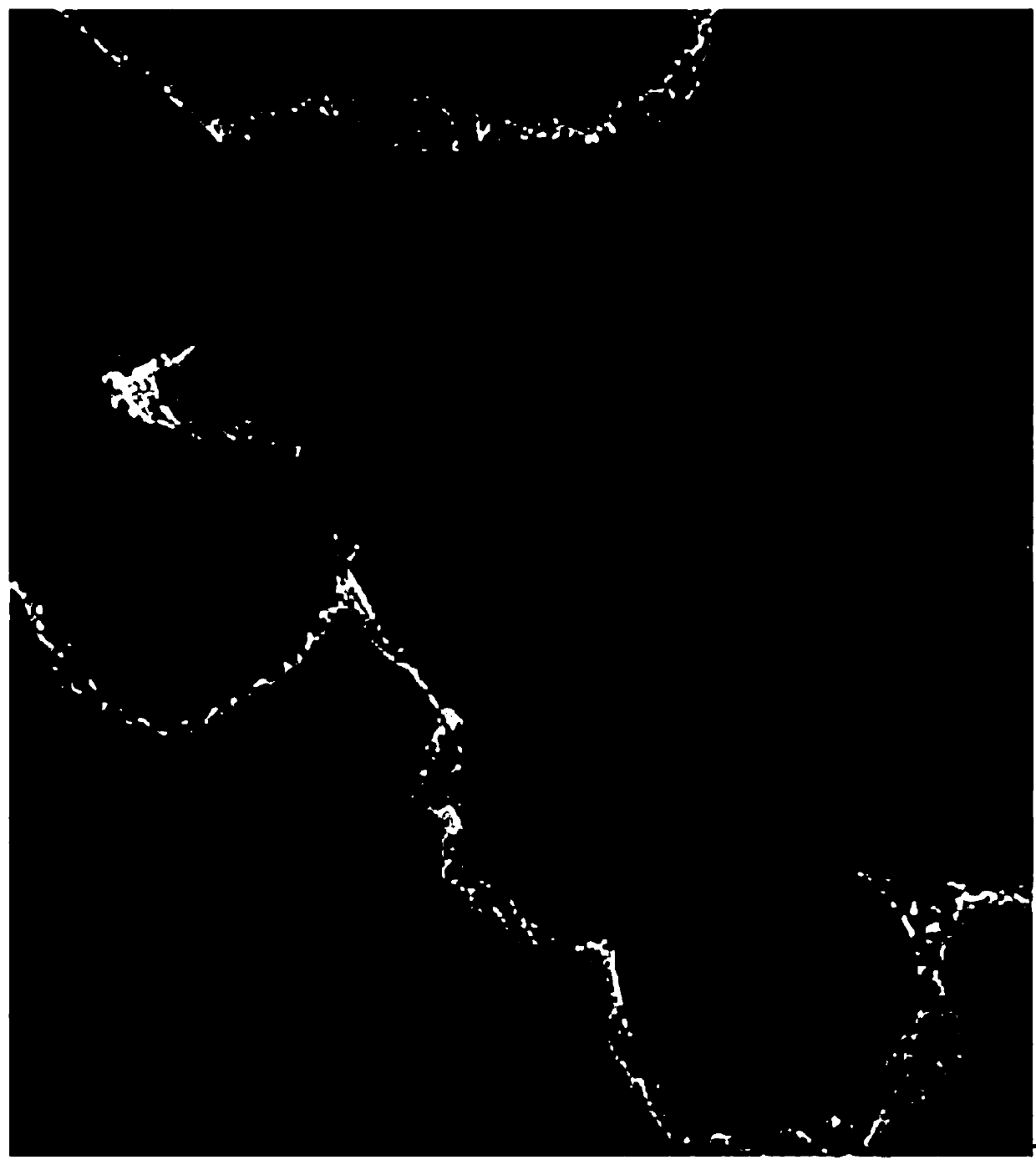 Preparation method of inorganic light-colored conductive titanium dioxide powder