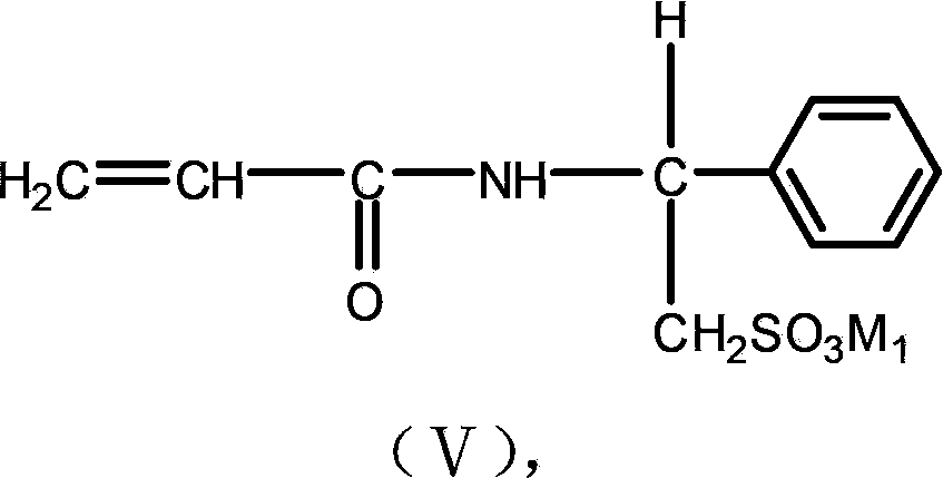 Acrylamide monomer and its method of preparation, acrylamide copolymer and method of preparation, and application