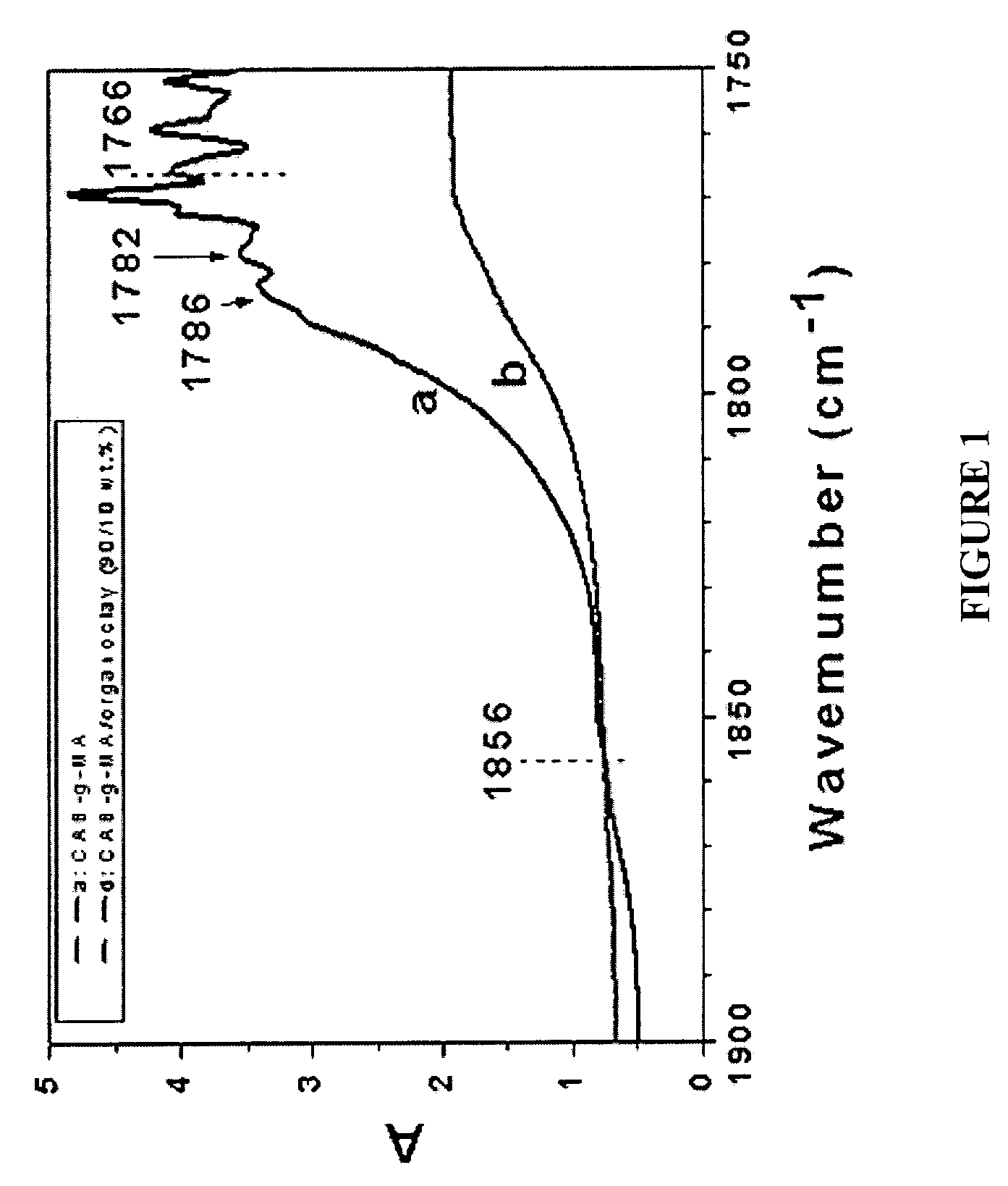 Compositions of cellulose esters and layered silicates and process for the prepration thereof