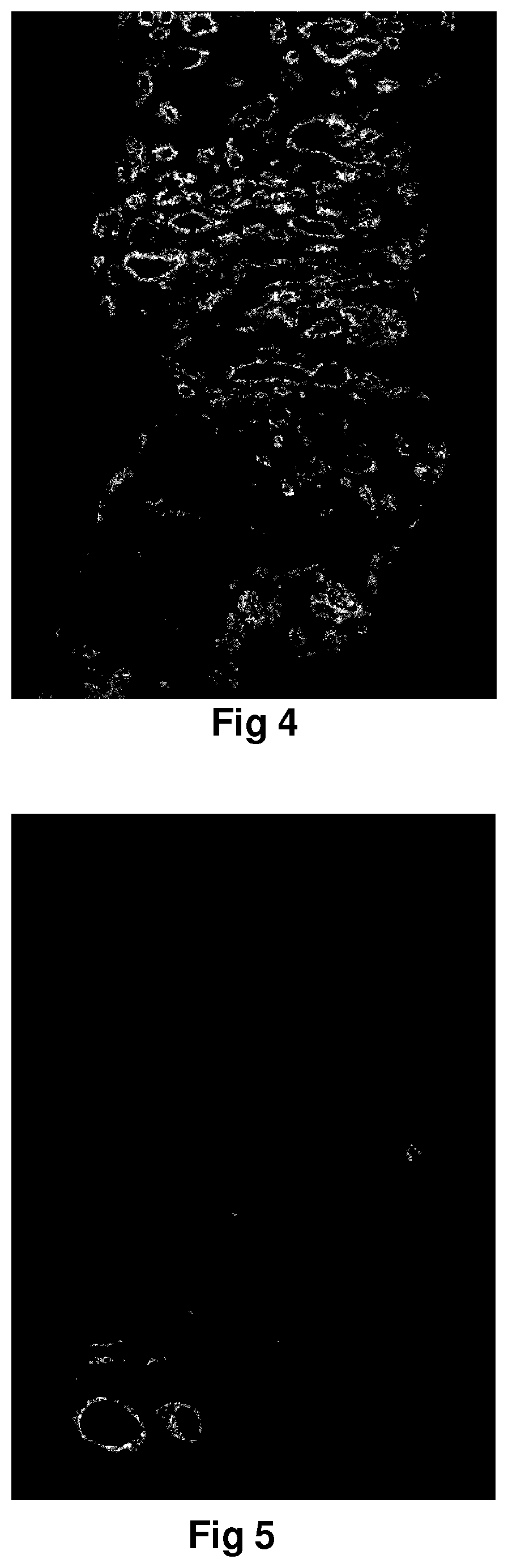 Method for identification of different categories of biopsy sample images