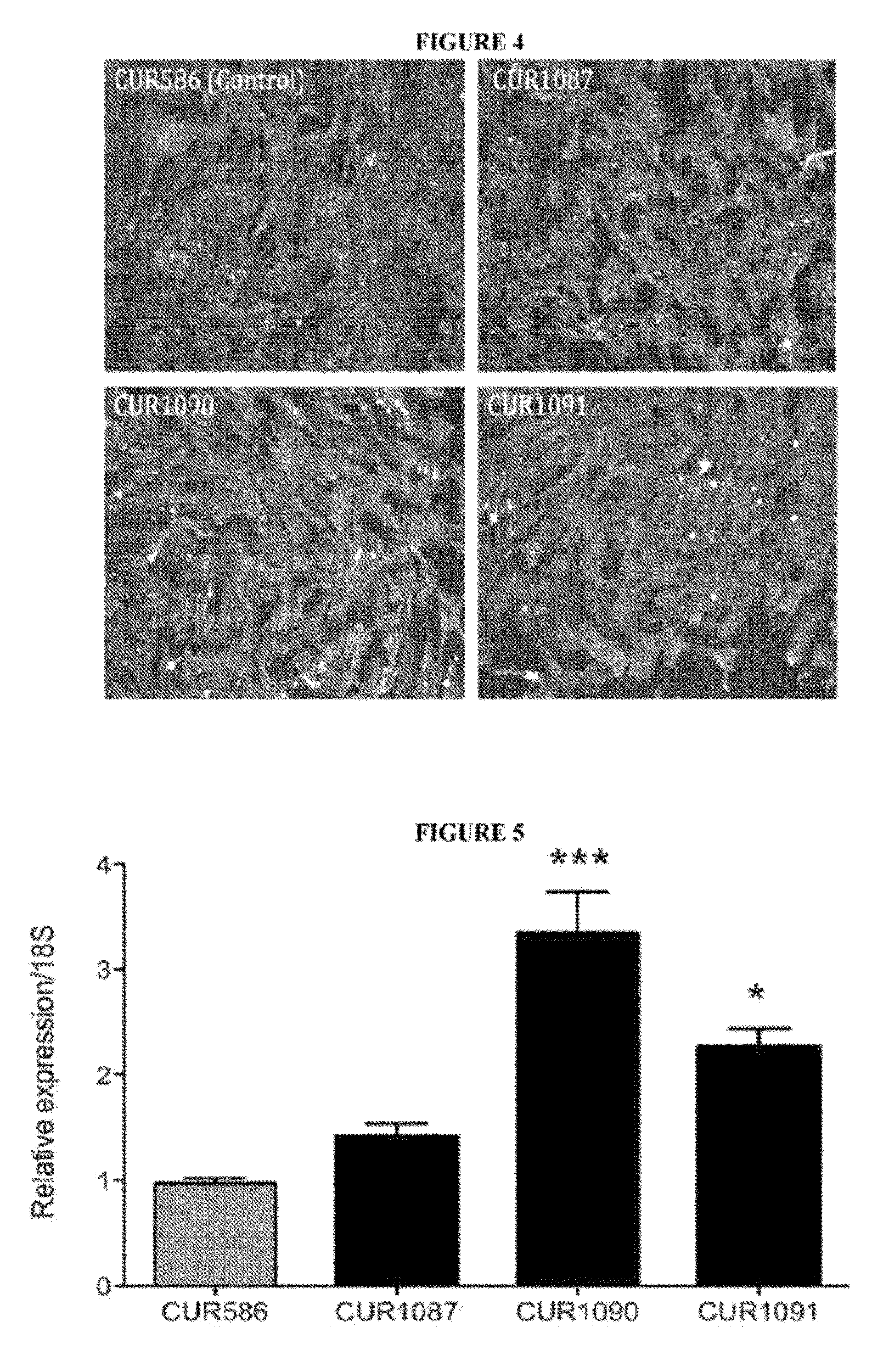 Antagonat compositions and methods of use
