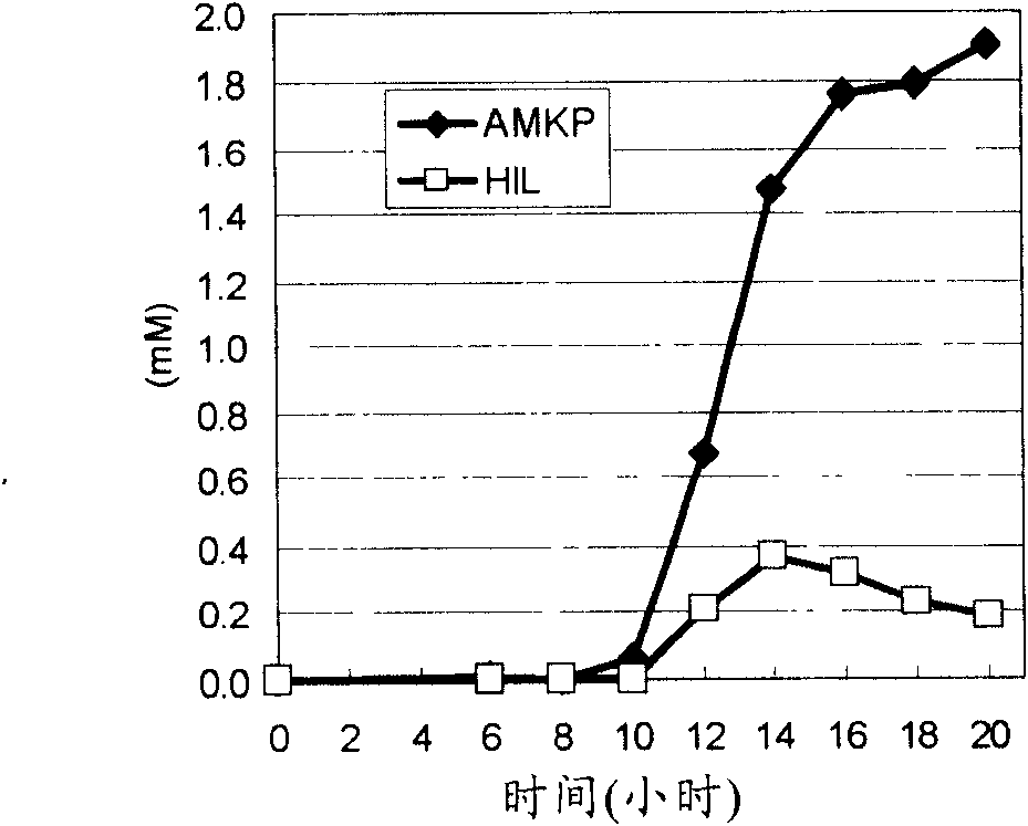 Method for producing 4-hydroxy-L-isoleucine