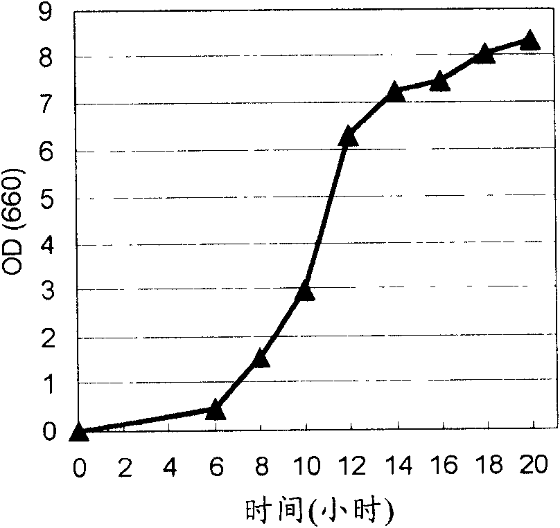 Method for producing 4-hydroxy-L-isoleucine