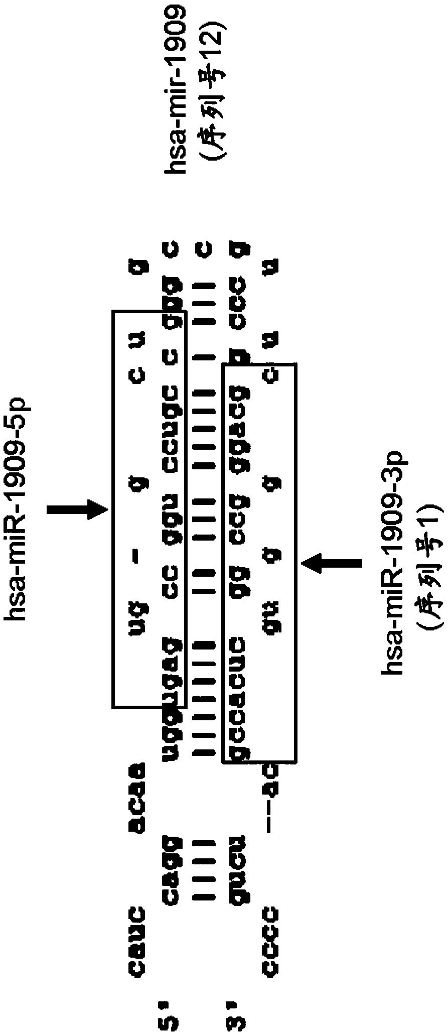 Kit or device for detecting malignant brain tumor and method for detecting same