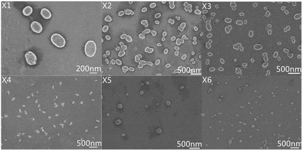 Preparation method of xanthan gum nano microgel