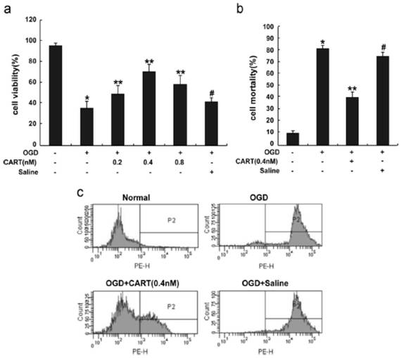 Application of CART to preparation of ischemic brain injury neuroprotective agent medicine