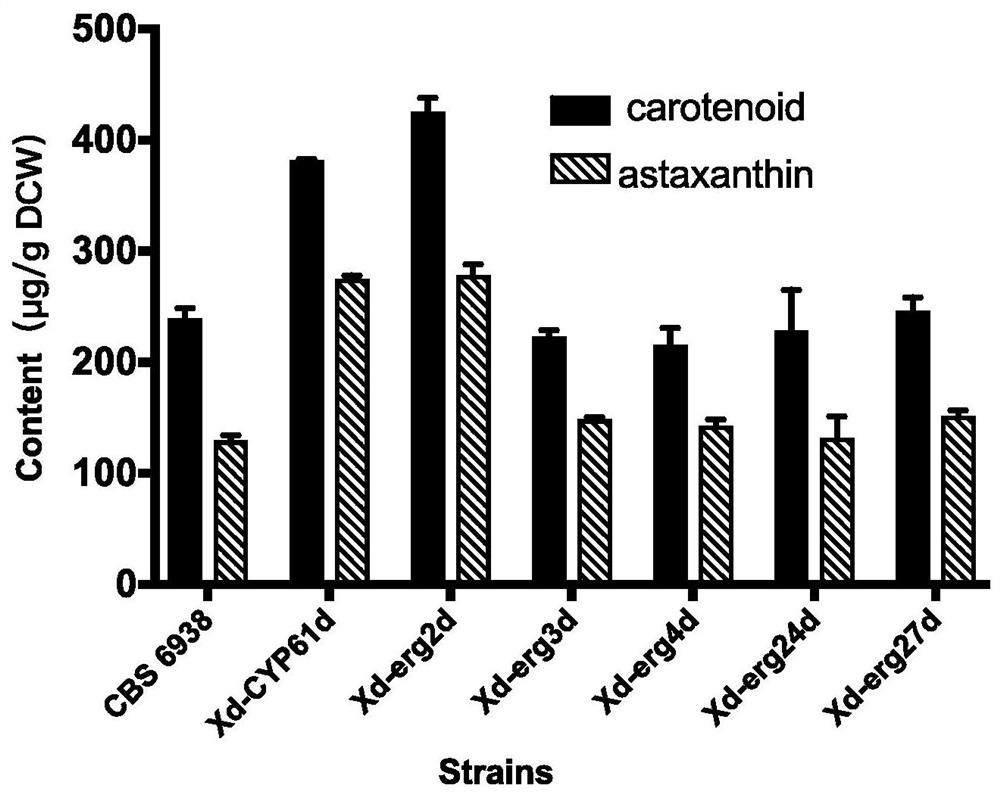 Method for increasing yield of phaffia rhodozyma astaxanthin