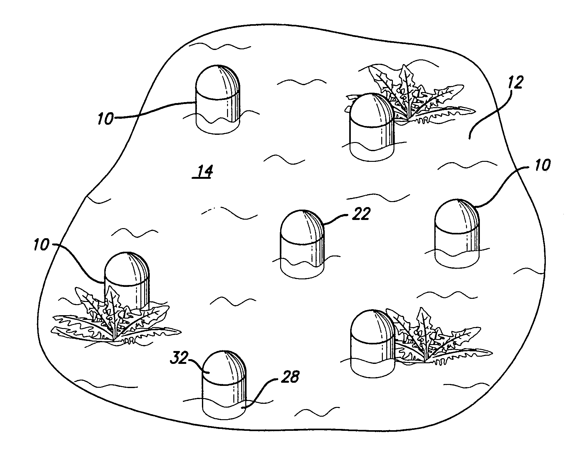 Multi-unit, distributive, regenerable, in situ desalination method