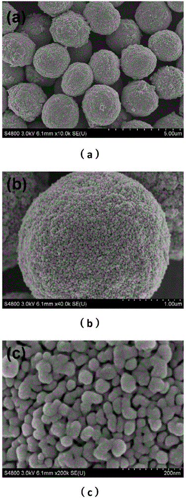 Method for preparing carbon-doped zinc oxide microsphere with multilevel structure