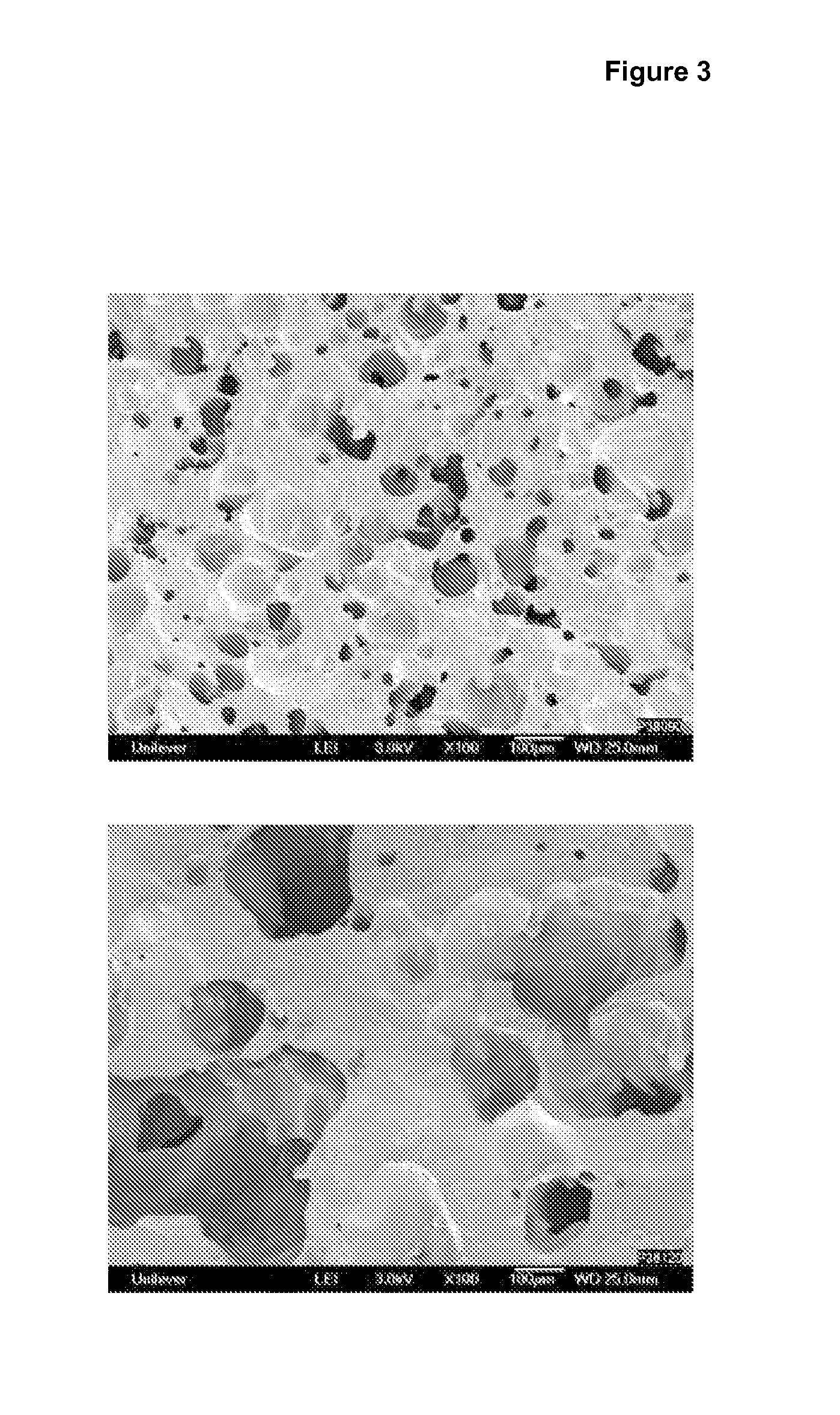 Method for preparing aggregated protein particles