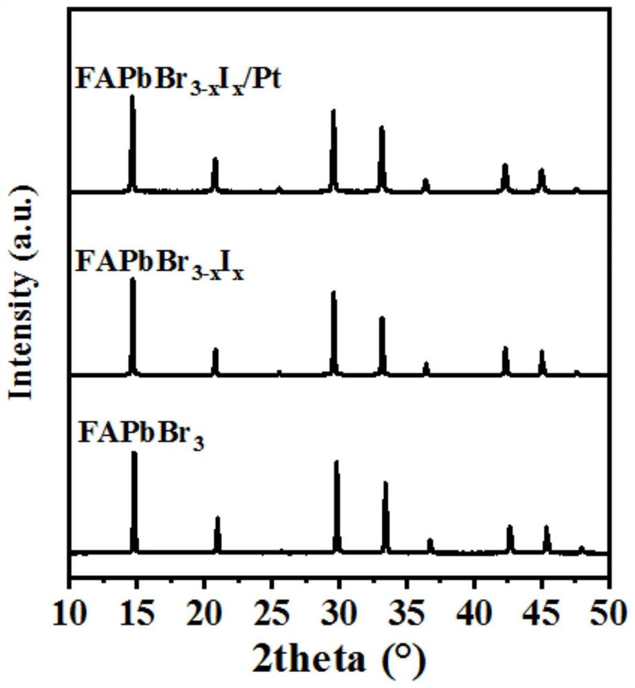 Halide perovskite-based platinum monatomic photocatalytic material as well as preparation method and application thereof