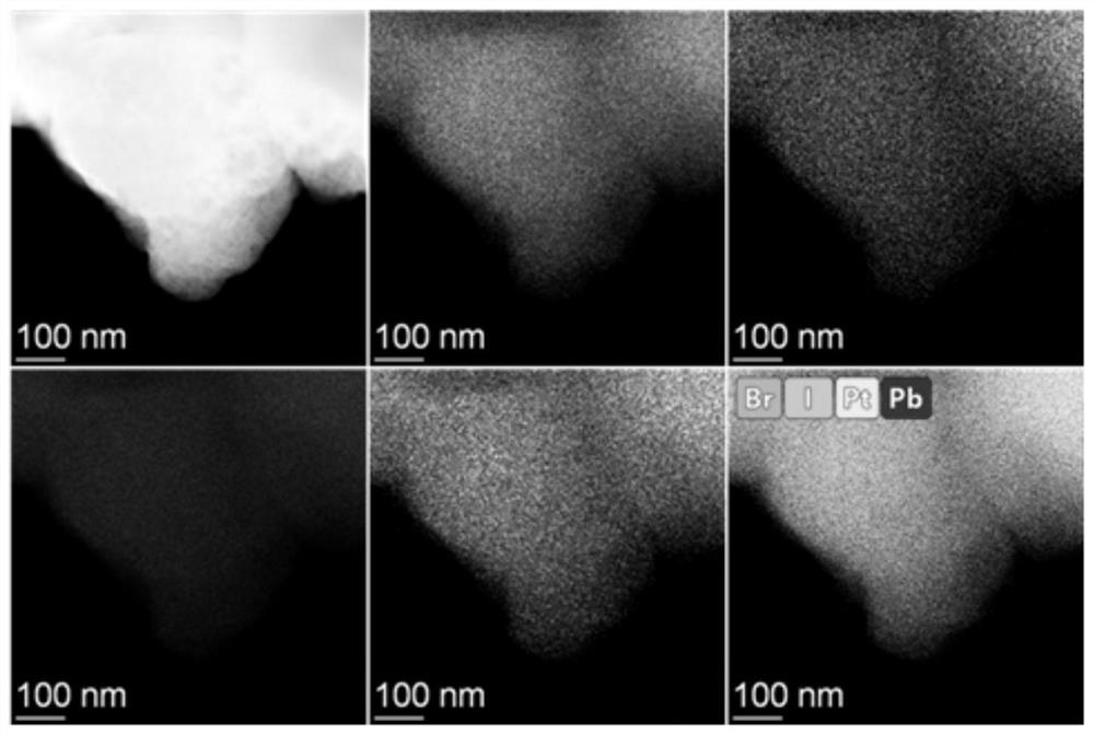 Halide perovskite-based platinum monatomic photocatalytic material as well as preparation method and application thereof