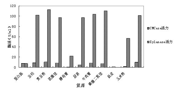 Method for using transgenic Coprinus cinereus to efficiently express recombinant enzyme