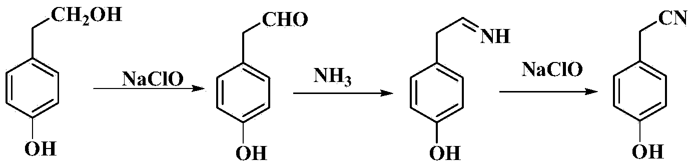 Method for preparing para hydroxybenzene acetonitrile
