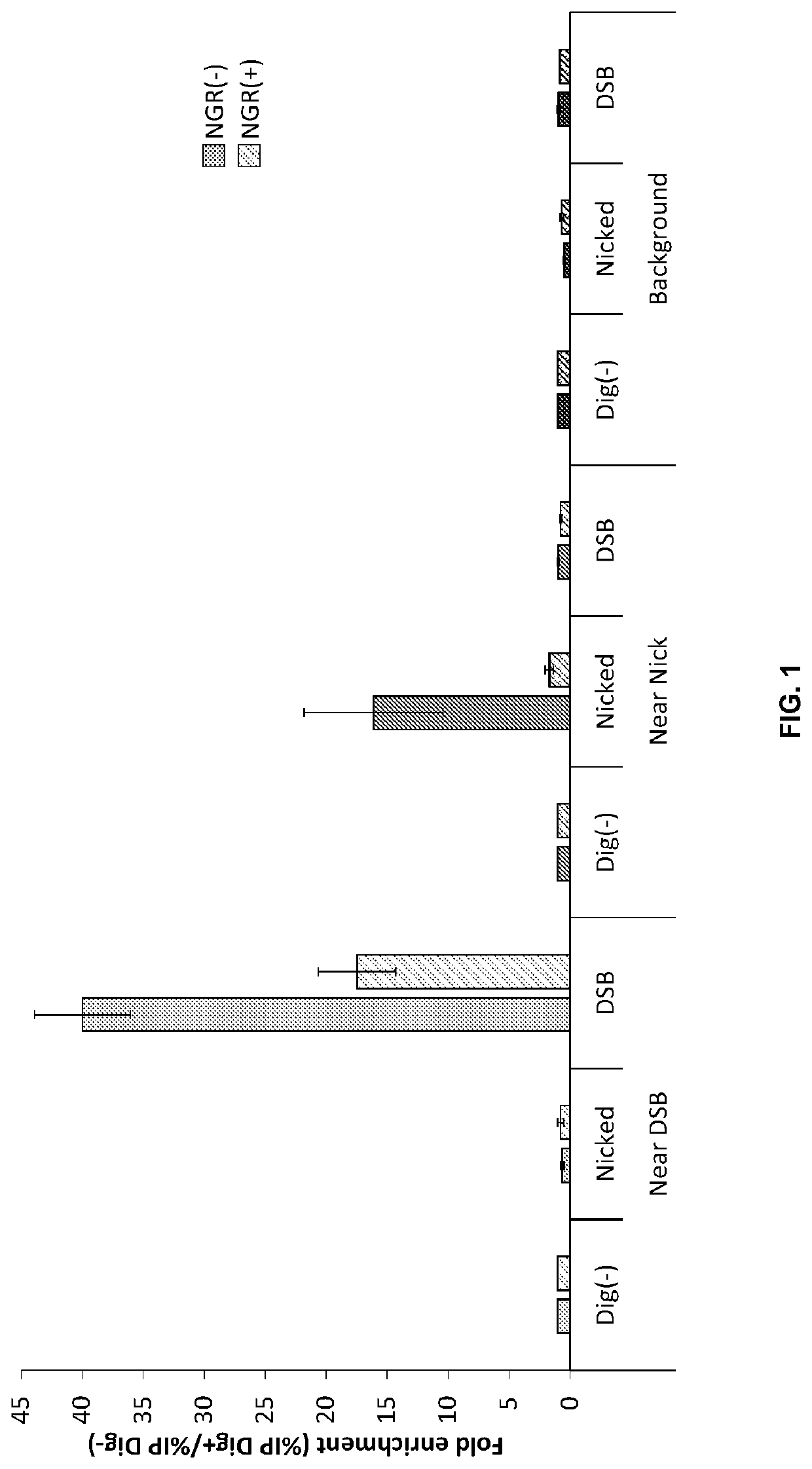 Double-strand DNA break quantification method