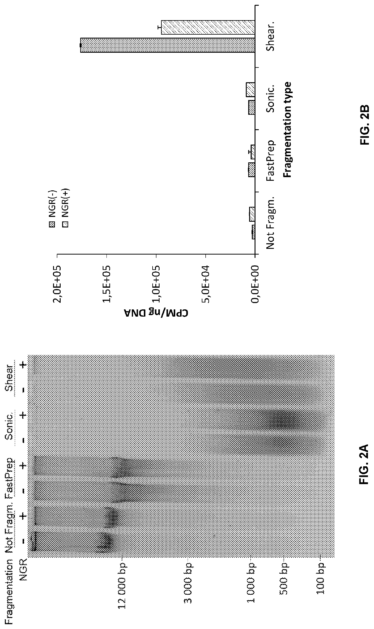 Double-strand DNA break quantification method