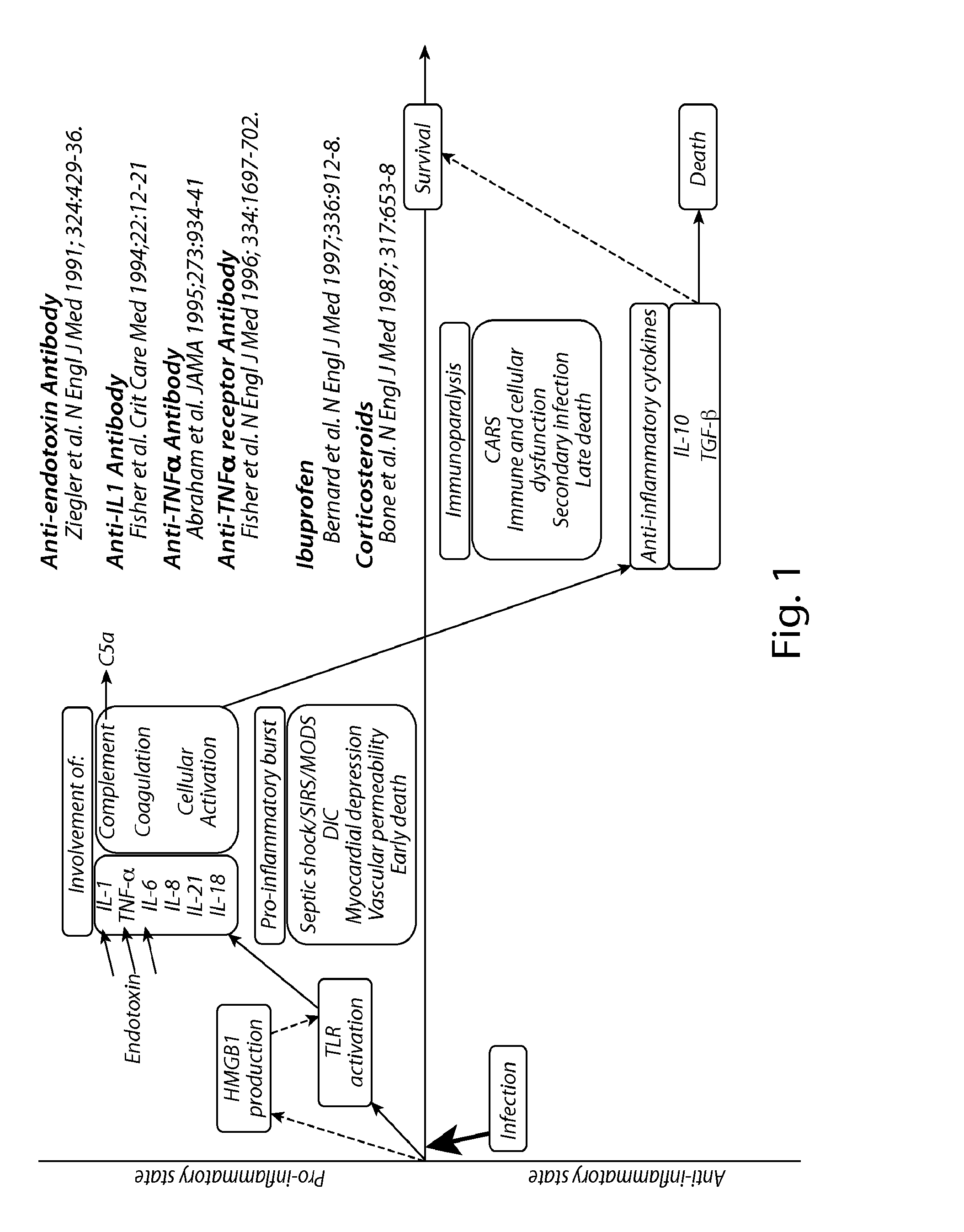 Systems and methods for extracorporeal blood modification