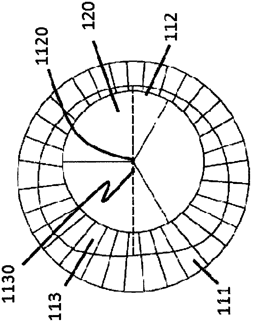 An asymmetric heart valve prosthesis