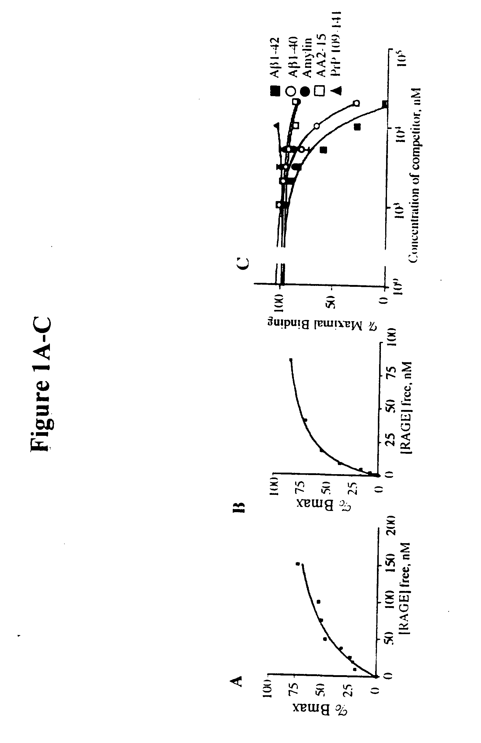 Methods of inhibiting binding of beta-sheet fibril to rage and consequences thereof