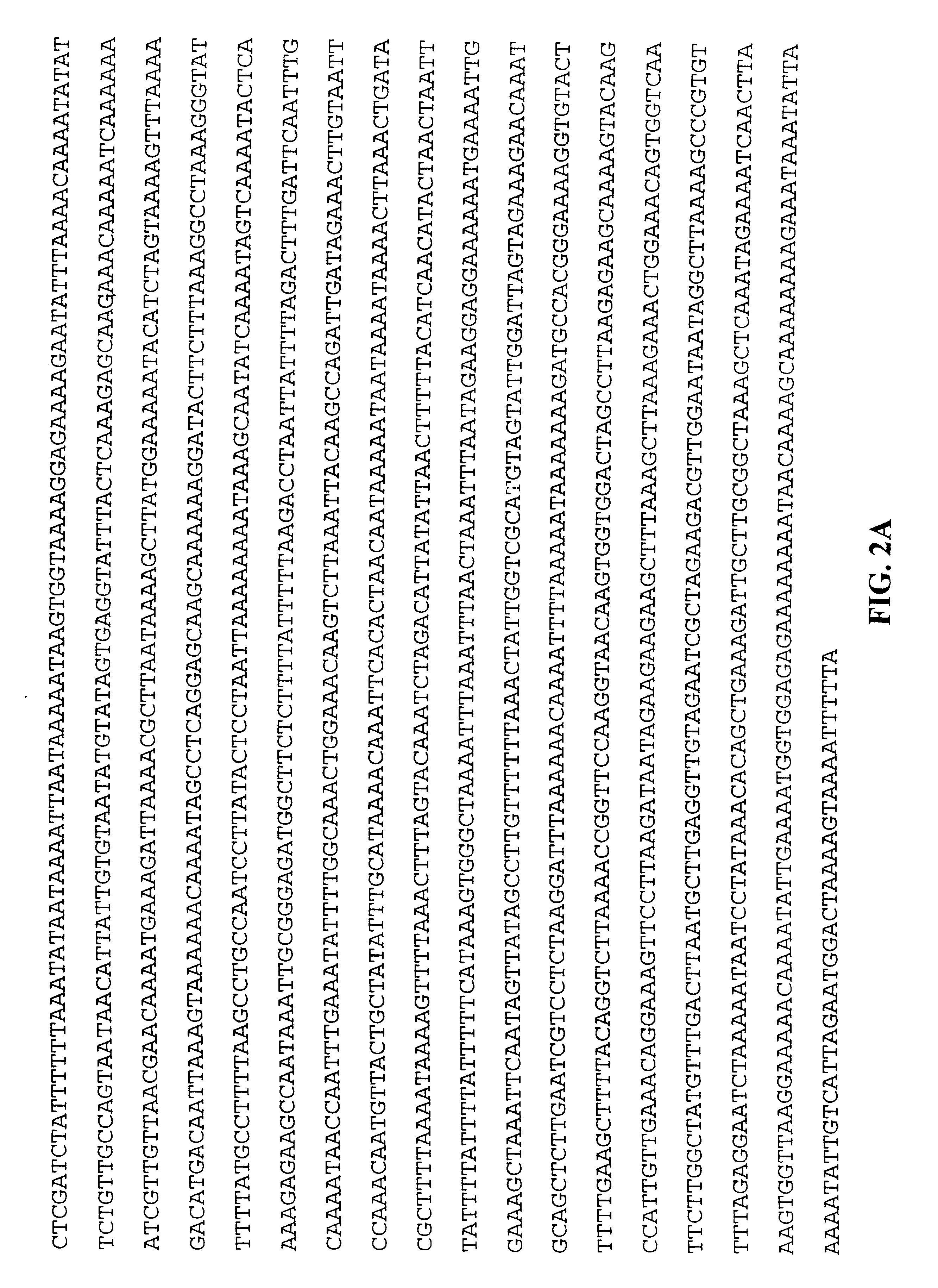 DbpA compositions and methods of use