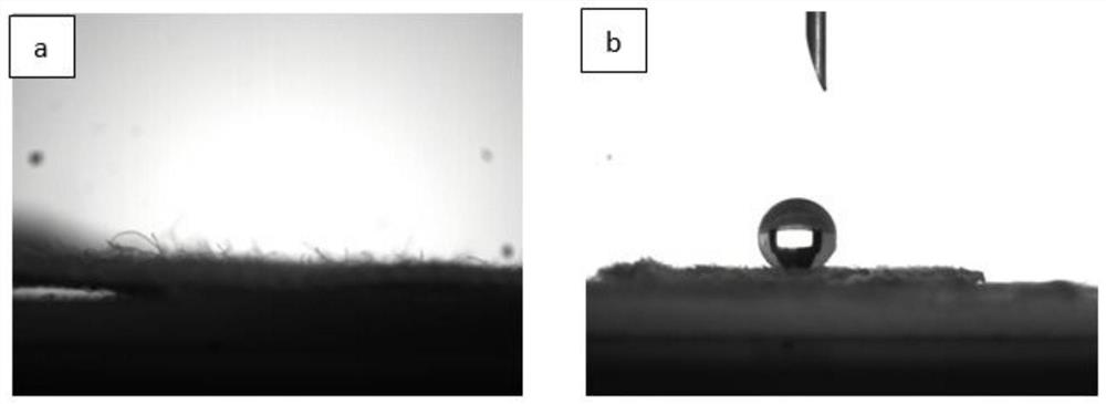 Super-hydrophobic and antibacterial natural cellulose fabric and preparation method thereof