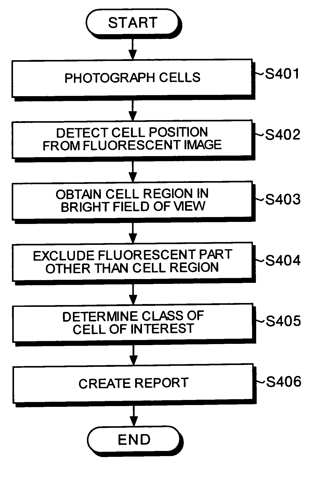 Method for supporting cell image analysis