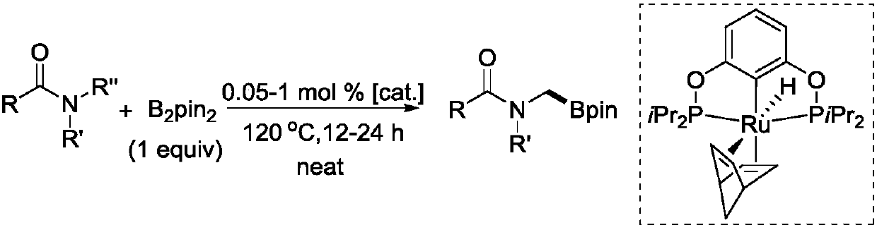 Novel method for ruthenium-catalyzed selective boronation reaction of amides