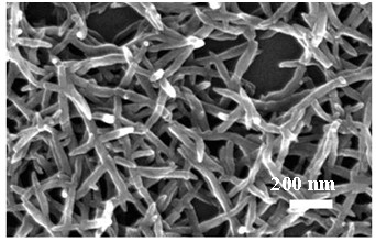 Sulfonic self-doped aniline copolymer with controllable nanometer structure and synthesis method thereof