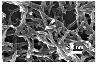 Sulfonic self-doped aniline copolymer with controllable nanometer structure and synthesis method thereof