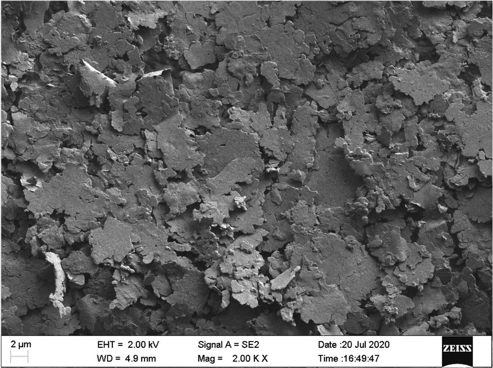 A kind of low-temperature polymer conductive silver paste and preparation method thereof