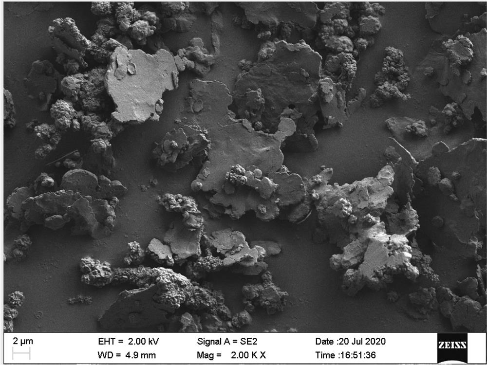 A kind of low-temperature polymer conductive silver paste and preparation method thereof